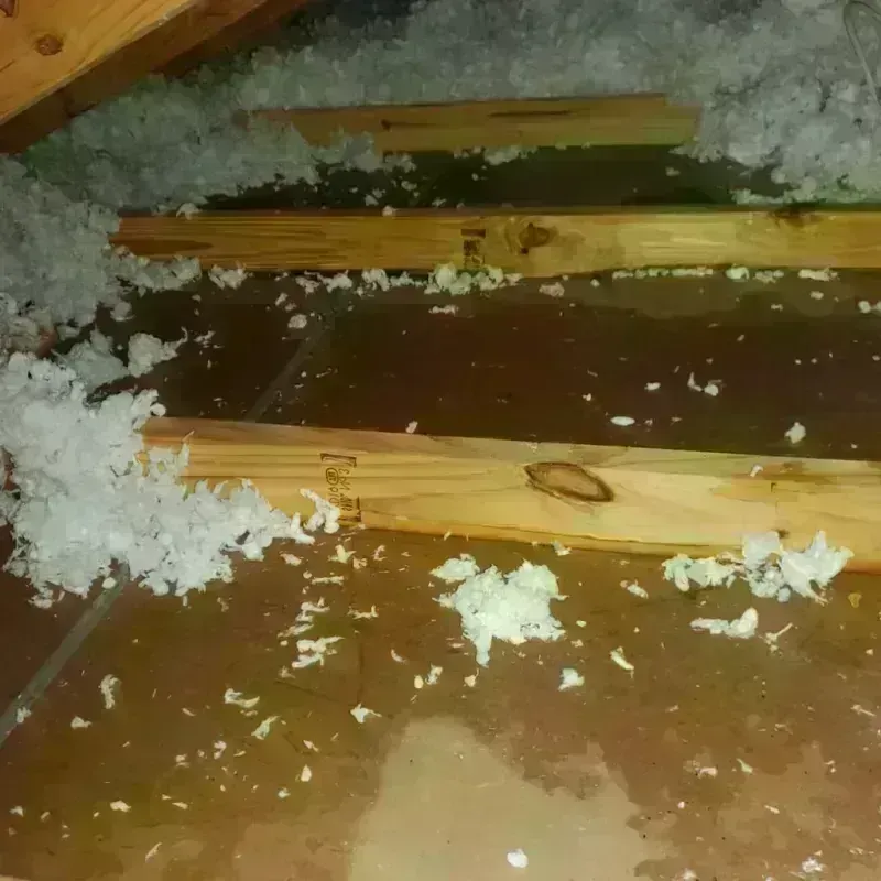 Attic Water Damage in Menominee, MI